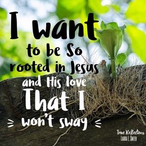 Stay rooted in the Lord! These times may shake us but w the Lord we won’t fall!